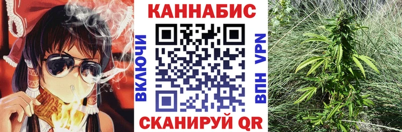 Купить где  Оленегорск  Канабис ГИДРОПОН 